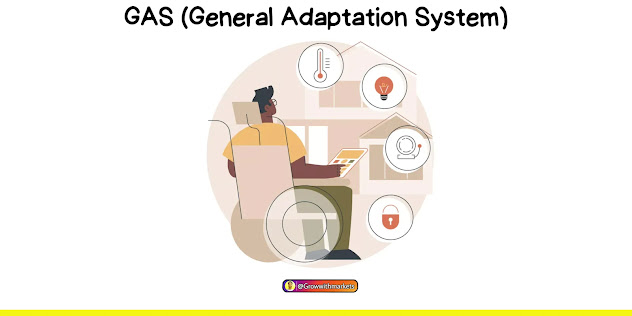 GAS (General Adaptation System),