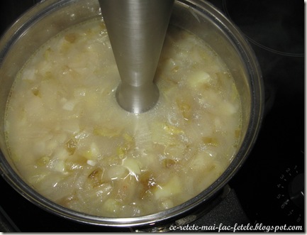 Supă cremă de andive - mixam supa
