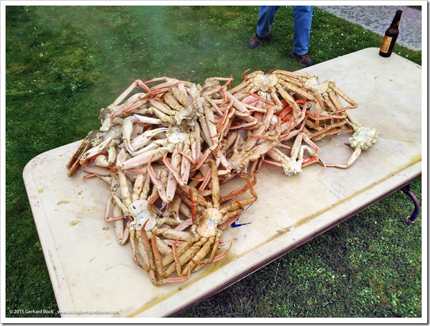 150907_Adak_crabboil2_WM