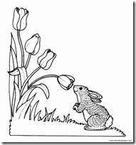 ANIMALES PRIMAVERA (5)