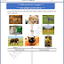 Grade 1 - Worksheet - Animals