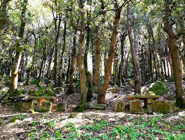 Il gelso e la metamorfosi di Tisbe e Piramo, olivi, monastero di santa Maria degli Antropici, Nocara, Canna, confine jonico tra Basilicata e Calabria