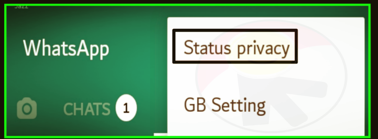 Setting Who Can see our Whatsapp Status - TrickPk