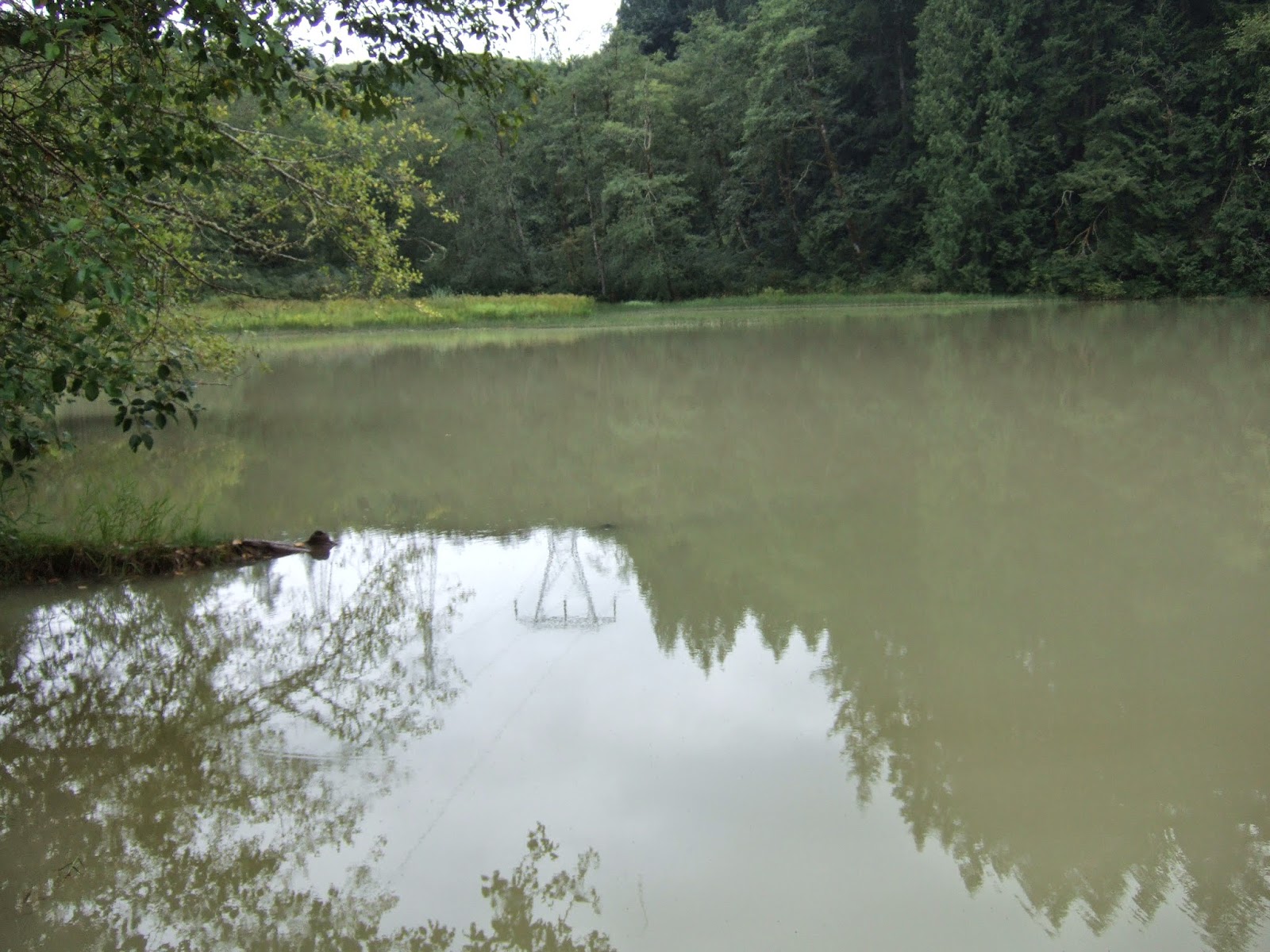 Landscape Mirrors