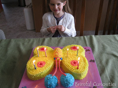 Butterfly Birthday Cake on Brimful Curiosities  Wordless Wednesday   Butterfly Birthday Cake