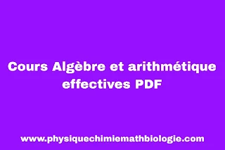 Cours Algèbre et arithmétique effectives PDF