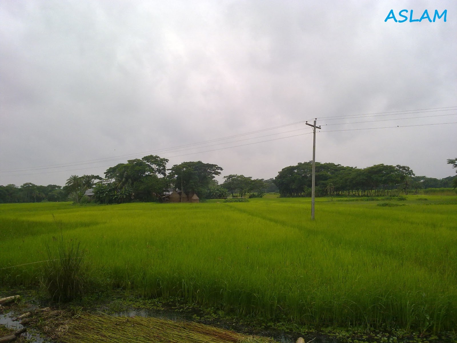 Unseen Beautiful Natural Photos of Bangladesh