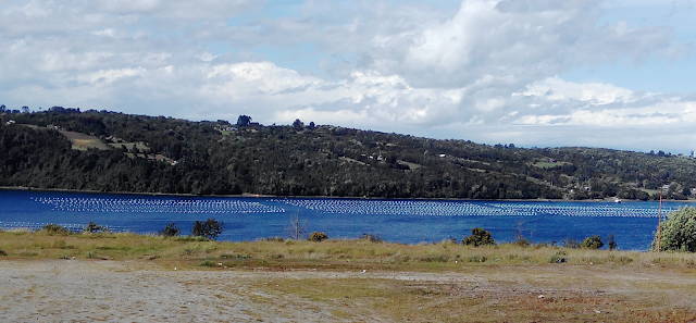 Cabulco, cerca de Puerto Montt (Chile)