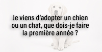  Je viens d’adopter un chien ou un chat, que dois-je faire la première année ?