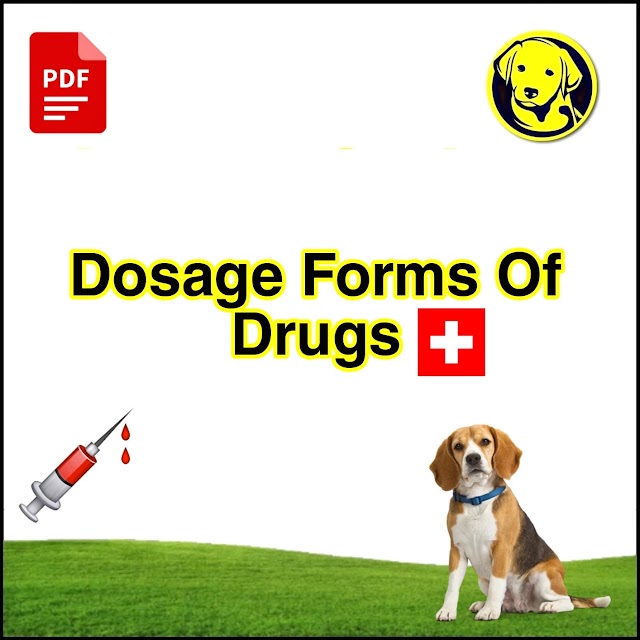 Free Download Dosage Forms Of Drugs Full Pdf