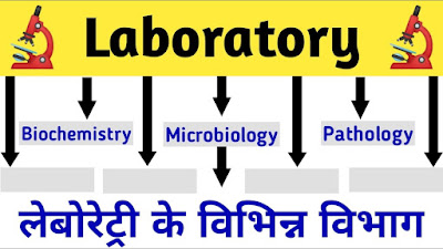 लैबोरेटरी के विभाग और उपविभाग (departments of Laboratory)