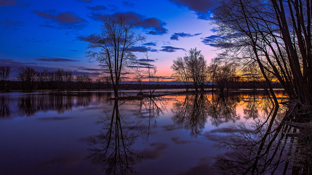 Canada Ontario Lake Reflection Trees Sunset Beautiful Scenery HD Wallpaper