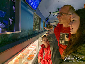 Zee Aquarium Bergen aan Zee Holland Becken