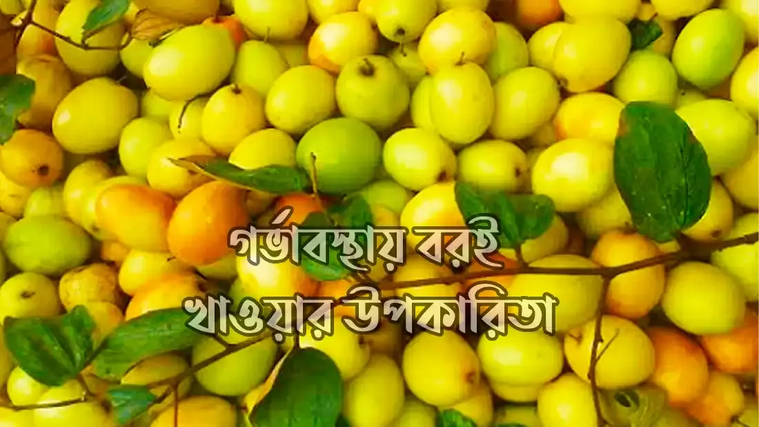 গর্ভাবস্থায়-বরই-খাওয়ার-উপকারিতা
