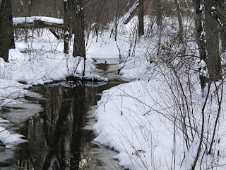 Tributary in the South River Greenway