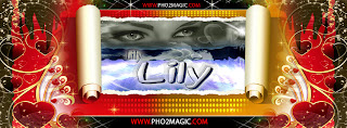 images for name lily in a cover