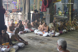 Sri TheliyaSingar , Sri Gajendra Varadhar, Samrokshanam, 2016, Video, Divya Prabhandam,Sri Parthasarathy Perumal, Triplicane,Thiruvallikeni,Utsavam,