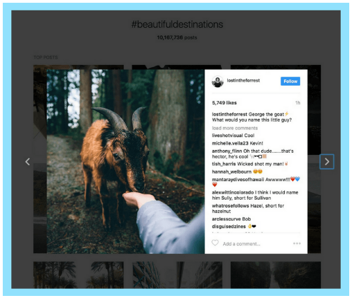 Things to Know About the Instagram Algorithm