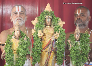 Sri Narasimha Swamy, Dhavana Utsavam, Theliya Singar, Azhaiya Singar,Thirumanjanam, Purappadu,  Triplicane,  Purappadu, Thiruvallikeni, Utsavam, 