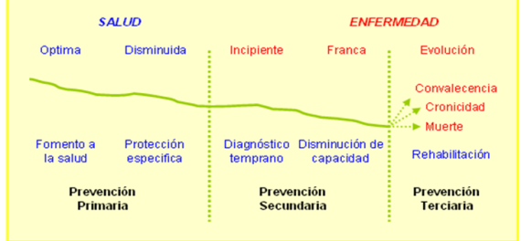 Historia Natural de la Enfermedad, niveles de Leavel y Clark