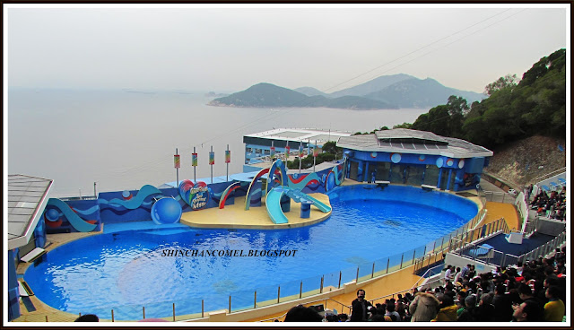 gambar ocean park hong kong tiket disneyland tips mudah cable car dolphin