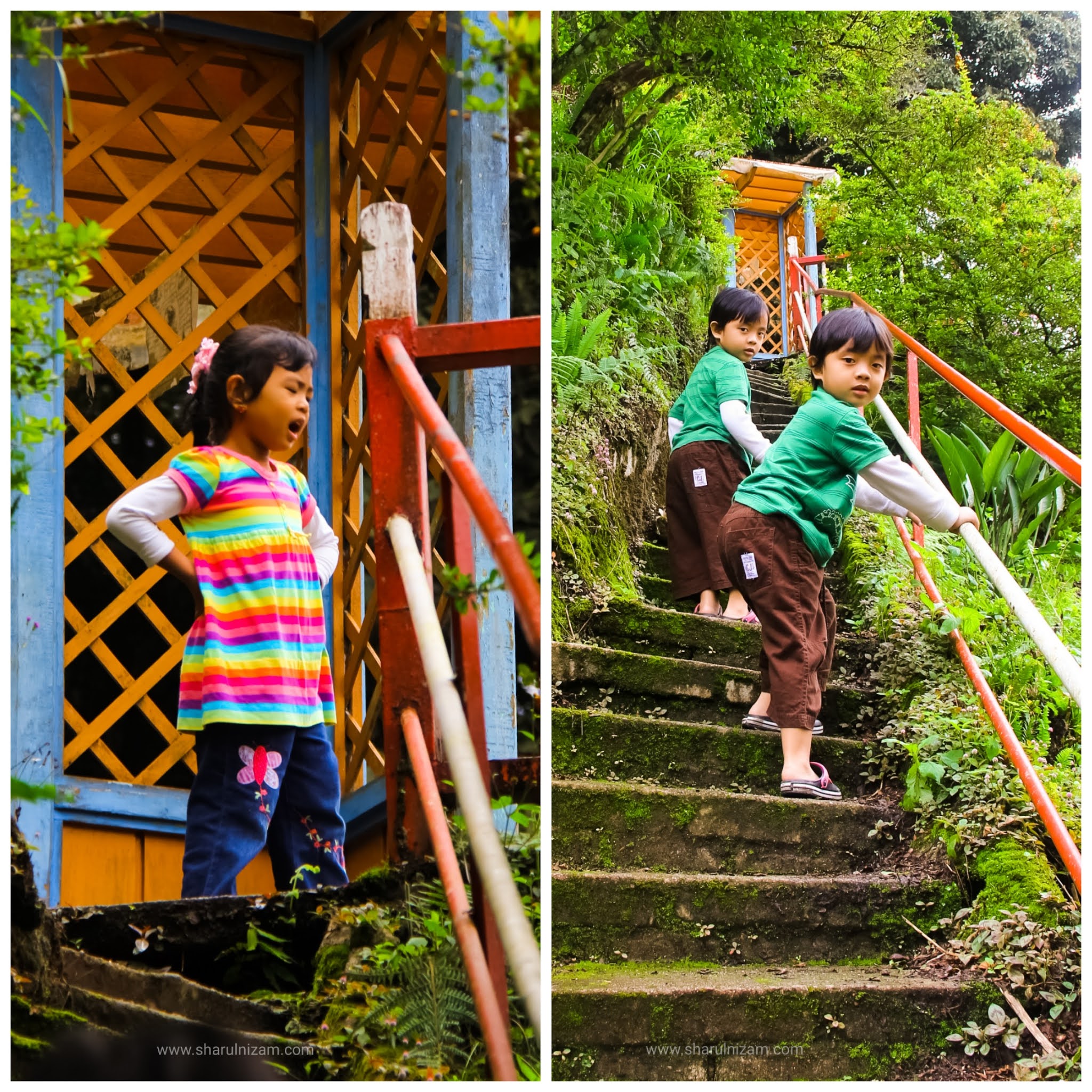 Rose Valley, Cameron Highlands