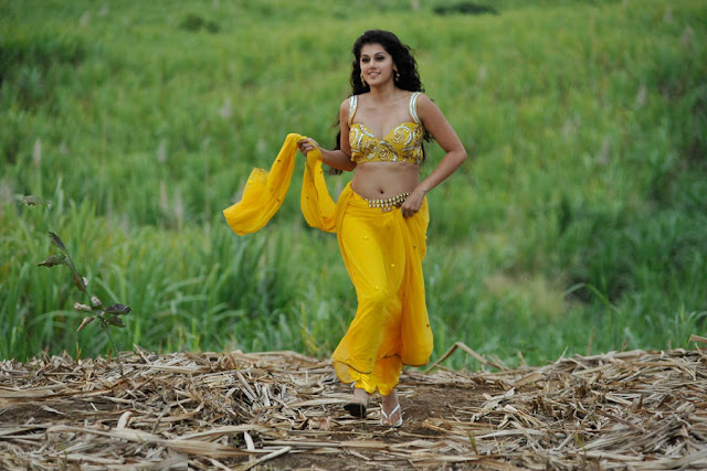 tapsee new spicy saree in mogudu unseen pics