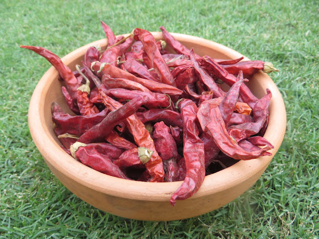 Advantages and Disadvantages of Red Chili: Exploring the Spice's Impact Advantages and Disadvantages of Red Chili: Exploring the Spice's Impact