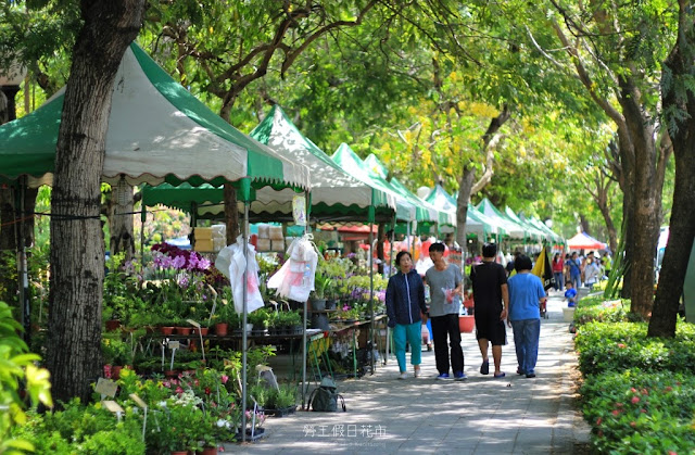 勞工公園假日花市-6