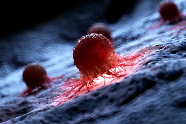 immunotherapy for cancer