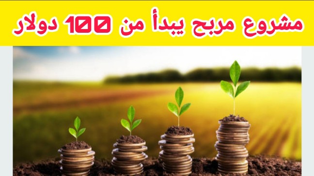 فكرة مشروع مربح يبدأ من 100 دولار