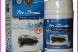 Jual Kapsul Pro Albumin Di Parepare | WA : 0857-4839-4402