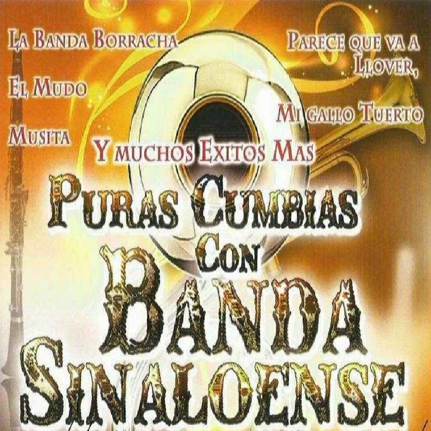 Puras Cumbias Con Banda Sinaloense - Mix