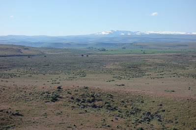 Panoramic View