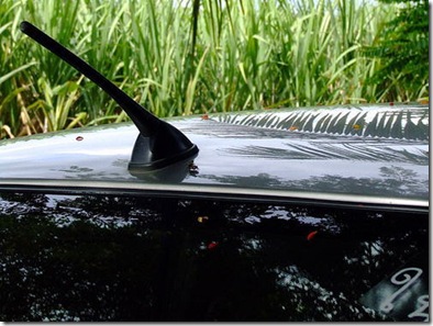 sexo-en-el-auto-03