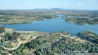 Albufeira, Barragem de Póvoa e Meadas de Castelo de Vide, Portugal (Fish)