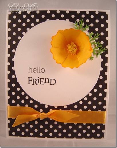 california-poppy-friend