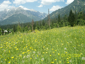 arrung kel neelum valley azad kashmir