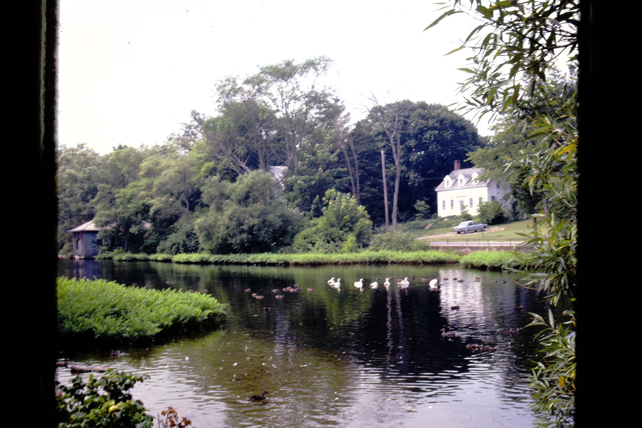 On the river in Sandwich 1974