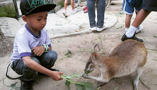 Kebun Binatang Gembira Loka Yogyakarta