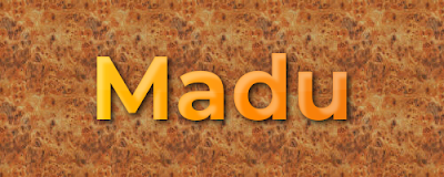 Madu - মধু