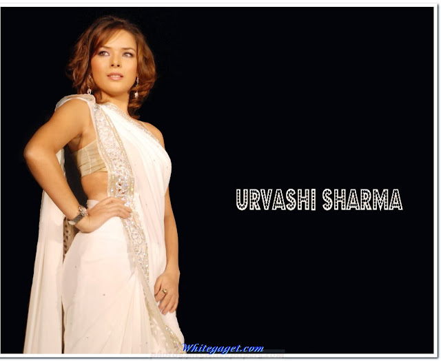 Urvashi Sharma Wallpaper,free download hd wallpaper,hd photos of hollywood actrees,hollywood hd pictures,free download hollywood celebrities wallpapers