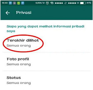 Cara Setting Whatsapp Agar Tidak Terlihat Online 