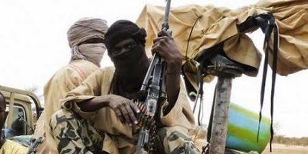 30 Boko Haram Militants Killed in Gubio, Borno