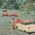 1953. Ford and Texas' Fields of Blue