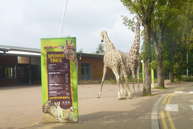 Der Eingang in den Fota Wildlife Park in Cork / Irland 