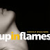 Nicole Williams - Up in Flames