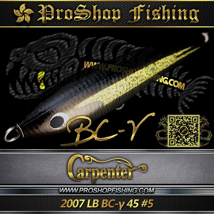 carpenter 2007 LB BC-γ 45 #5.5
