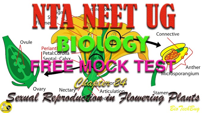 NEET Biology Chapter 24 Sexual Reproduction in Flowering Plants Free Online Mock Test