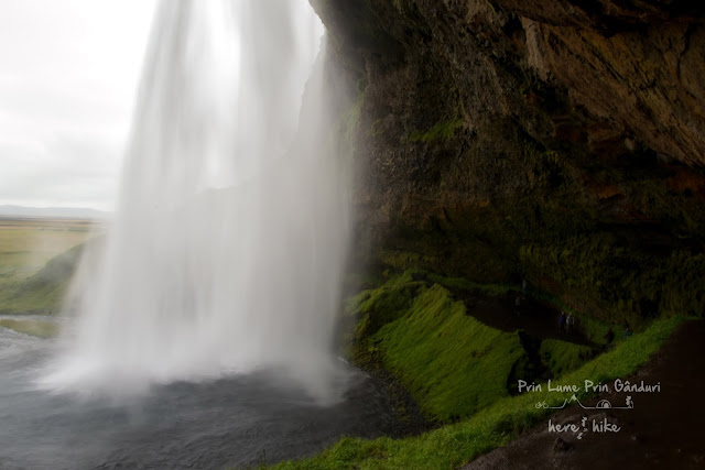 iceland-seljalandsfoss